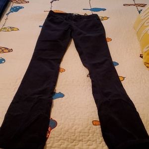 LOFT size 25 corduroy pants